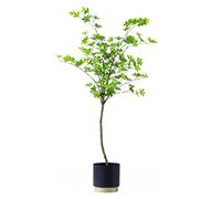 AYCDL Plantas falsas, planta artificial de campana, árbol de seda para interiores y exteriores, hogar, oficina, jardín, decoración de inauguración de la casa