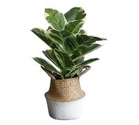 AYCDL Plantas falsas, plantas artificiales, vegetación, árbol artificial, árbol de goma, bonsái, árboles falsos, planta verde, decoración del hogar y la oficina