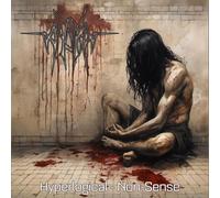 Aydra - Hyperlogical Non-Sense [Vinilo]