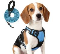 AYESY Arnés para Perro, Arnes Tipo Chaleco para Perros a Prueba de Escapes con Correa, Malla Transpirable Chaleco Acolchado Ajustable para Caminar Entrenar Correr Azul L