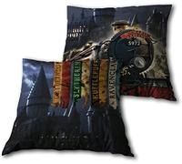 Aymax Cojin Casas de Hogwarts Express Harry Potter 35x35cm