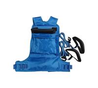 Aymzbd Arnés de Esquí Infantil Arnés Infantil con Asa Ergonómica Y Cinturón Ajustable para Aprender a Esquiar O Hacer Snowboard Adecuado para Esquí Snowboard, Azul