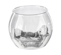Aymzbd Cama para Gato Cama Transparente Nido de Gato Cápsula Apilable con Superficie No Adherente Y Bordes Suaves Material Resistente PETG Adecuado, con Manta