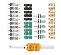 AYNEFY Juego de Herramientas de Núcleo de Válvula de Aire Acondicionado de 46 Piezas, Kit de Reparación de AC para Reemplazo de Tubería de Refrigerante Doméstico R410 R22 R134a con