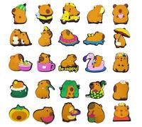 AYNKH 25 Piezas Adornos Para Zapatos, Pins Para Crocs Para Capibara, Decoración de Zapatos Shoe Charms, DIY Regalos Para Fiestas De CumpleañOs Infantiles