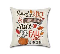 Ayoiow Pumpkin Spice Every Thing - Fundas de almohada (45 x 45 cm, funda de sofá