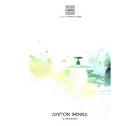 Ayrton Senna, il processo