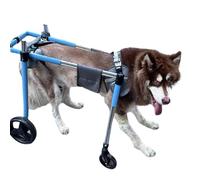 Ayuda de movilidad para perros de cuerpo completo - 4 - Soporte de rueda, herramienta - ajuste libre, arnés ergonómico, marco de aluminio duradero (tamaños XS - XXL) (L)