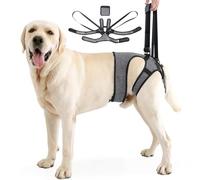 Ayuda para transportar perros, arnés ajustable para las patas traseras, arnés portátil para perros discapacitados, heridos o mayores (L)