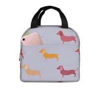 AYYQWE Bolsa de almuerzo de moda con estampado de perros salchicha, escuela, estudiantes, camping, picnic, comida, se mantiene fresca y sabrosa