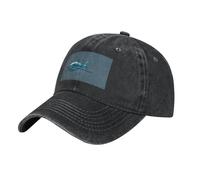 AYYQWE Gorra de béisbol de mezclilla lavada con estampado de tiburón azul, transpirable, para viajes, festivales, accesorios diarios, Negro, Talla única