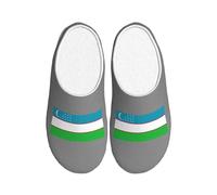 AYYQWE Pantuflas unisex con estampado de bandera de la República de Uzbekistán para adultos, suaves, suela antideslizante, para el hogar, viajes, franela para interiores
