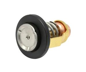 AYZLGAA For Motores fueraborda Y-a-m-a-h-a 67f-12411-01 18-3632 Termostato 140°f 60°c