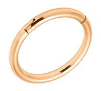 AZARIO LONDON Piercing de nariz de plata de ley 925 con bisagras, clásico, 18 Gauge - 8mm Diameter, Plata de ley, No es una piedra preciosa