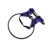 Azarton arnés con aro Protector para Perros Ciegos, aro anticolisión con arnés de guía, diseño de Malla Transpirable con Bandas Reflectantes 360° y Capa luminiscente