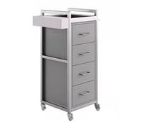 AZHKJKZH Carro De PeluqueríA Carrito De Peluquería con 4 Cajones Y Ruedas, Móvil For Barbería FáCil De Instalar(Grey)