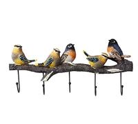 AZHKJKZH Perchero de Pared Perchero De Resina Para Pájaros, Gancho Pared Para Colgar Que Ahorra Espacio, Adecuado Para Abrigos, Bufandas, Bolsas, Toallas, Llaves Recibidores Entradas(D-5hooks)
