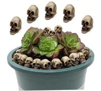 AZIDWERYQ Mini Calaveras, 20 Piezas, Huesos de Resina, Gris, 0, 6 Pulgadas