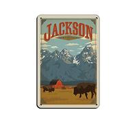 AZOLID Carteles de metal vintage de Jackson Wyoming para viajes, decoración de pared, oficina, cafetería, baño, dormitorio, 30 x 20 cm