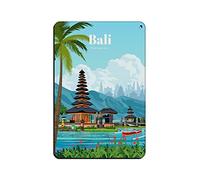 AZOLID Letreros divertidos de hojalata de Bali Indonesia Viaje Signos Pintura Café Ópera Casa Arte Decoración de Pared Placa 14x20CM