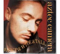 Aztec Camera - DEEP AND WIDE AND TALL 7 INCH (7" VINYL 45) UK WEA 1987