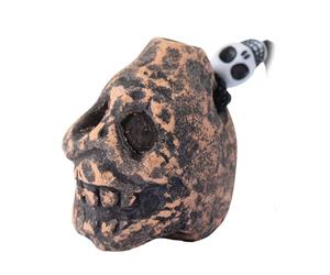 Aztec Death Whistle, Prank Atmosphere Creation, Screaming Whistle with Human Cry, Collectible Skull Art & Decor 1.18x1.54x1.77 Inches Perfect for Pranks & Outdoor Fun