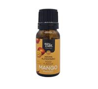 Azucren - Saborizante para Repostería - Aporta Aroma y Sabor a tus Tartas, Bizcochos y Galletas -10 ML (Mango)