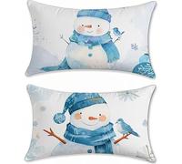 Azul Funda Cojin 60x90 Muñeco de Nieve Cojines Sofa Terciopelo Cojines Exterior Juego de 2 Rectangular Funda de Almohada Cushion Covers con Cremallera Invisible, para Interior y Exteriores z-536