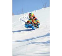 Azul Trineo Con Frenos Por Dantoy 6755 Bob Tobogán Invierno Nieve Cuerda Mango