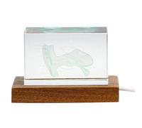 Azull Modelo de Órgano Auditivo 3D, Cubo de Cristal, Regalos Científicos de Otología, Figura de Cristal, Pisapapeles, Estatua de Órgano Humano B