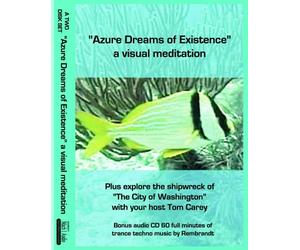Azure Dreams of Existence: A Visual Meditation