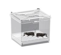 Azutador De Araña Saltando, Terrario Acrílico, 10.2x9.0x9.0 Cm, Hábitat De Araña De Salto Acrílico, Recinto De Terrario De Insectos Insectos, Vista De 360 Grados, Para Proyectos Científicos Al Aire Li