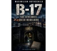 B-17: Das Geheimnis unter Heidelberg