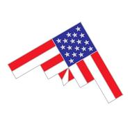 B-2 - Broche de hierro con cierre de bloqueo para entusiastas de la aviación, joyería para uso diario elegante, joyería de cultura de aviación, talla única, como se describe