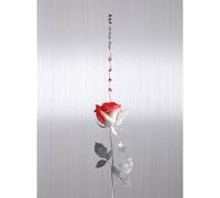 B.A.P - [ROSE] 6th Single Album A Ver BAP CD+Photobook+PostCard+PhotoCard Sealed