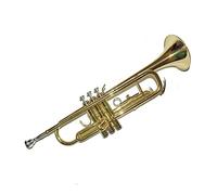 B Apartamento BB Trumpet Instrumentos Musicales Para Principiantes Trompetas De Latón Lacado Plateado Con La Boquilla De La Caja
