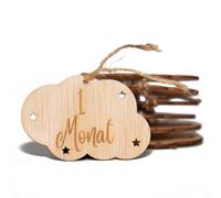 B.BachVibes - Baby-Embleme aus Holz - Set mit 14 Monatsscheiben - Ideal für Neugeborenenfotos und Geschenk zur Babyparty (Deutsch)
