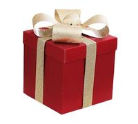 B Baosity Caja de Regalo Cuadrada Resistente con Tapa Caja para Regalos de año Chino Caja de Papel para Bodas Caja para Propuestas de Adecuada, Rojo 30 Cm, tal como se describe