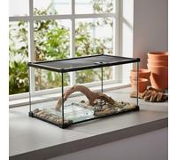 B Baosity Terrario para Reptiles de Cristal Tanque Panorámico con Malla Extraíble Estructura Compacta Fácil Limpieza Adecuado para Principiantes Aficionados y Mascotas Exóticas, 30x20x20cm