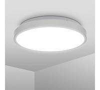 B.K.Licht 12 Watt LED lámpara de techo para el baño I lámpara de baño I Ø29 cm I color de luz blanco neutro 4000 K I a prueba de salpicaduras IP44 I borde de plata I plafon led techo