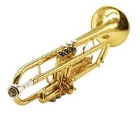 B Placa Trompeta Instrumento Musical Latón Jugando Principiante Profesional Trompeta