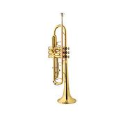 B Trompeta/Cuerno de latón Instrumento Musical/niños Adulto Principiante Grado Examen Fósforo Bronce Cerbatana Rendimiento Profesional Banda de latón Concierto Escolar Amante de la