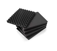 B&W International SI/3000 - Espuma precortada para Outdoor Case Typ 3000