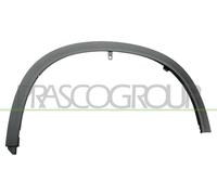 (B07MQTG7XF) en nuestro catálogo. Cambie el atributo del producto a Prasco SZ7501581 - Moldura de protección/guardabarros