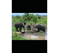 B0DF972KTF - My December Darling: A Holiday Novella