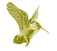 B39 Rising Woodcock - Pin de peltre inglés con cierre de mariposa y acabado cromado dorado, Peltre