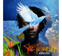 Baaba Maal - The Traveller