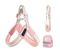 Baabeash Arnés y correa para perros pequeños, arnés de vestuario ajustable para animales, accesorio de seguridad cómodo con bolsa para caminar por la ciudad, parque jardín, senderismo, carreras