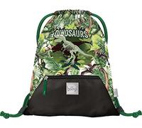 Baagl Bolsa de deporte para niñas - Bolsa impermeable para zapatos para niños - Escuela y jardín de infantes bolsa de deporte, bolsa de deporte, Dinosaurios, 34x42, Casual