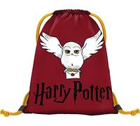 Bolsa de deporte para guardería, bolsa de deporte para niños, niñas, bolsa de deporte para niños, bolsa de deporte, bolsa de zapatos, Harry Potter - Hedwig